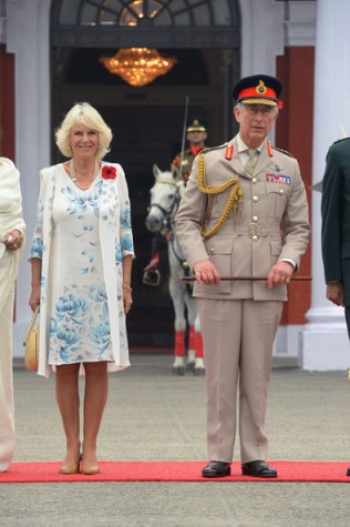 Prince Charles, Nov. 7, 2013 | The Royal Hats Blog