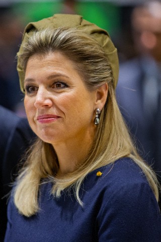 Queen Máxima, October 31, 2014 in Fabienne Delvigne | Royal Hats