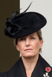 Countess of Wessex, November 9, 2014 in Jane Taylor  | Royal Hats