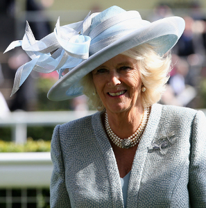 Duchess of Cornwall, June 17, 2014 in Philip Treacy | Royal Hats