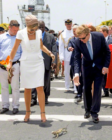 Queen Máxima, May 1, 2015 in Eudia | Royal Hats