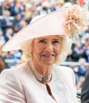 2019-06-18 Day 1 Ascot 3 250