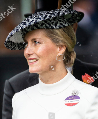 2019-06-19 Day 2 Ascot 4 400